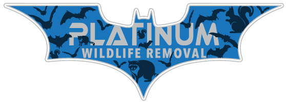 Animal Removal Algoma